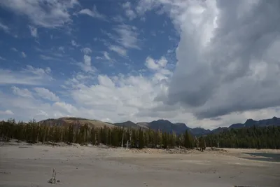 DSC_2945 (Large).JPG